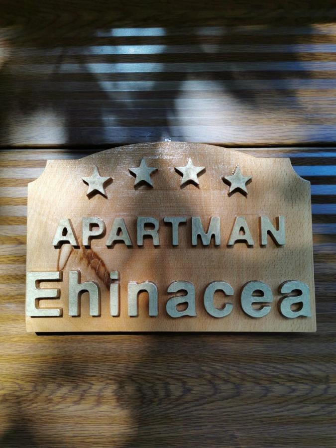 Ehinacea Leilighet Rtanj Eksteriør bilde